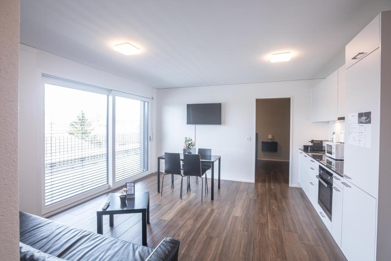 Skyline Exclusive Penthouse Apartments Basel Exterior photo